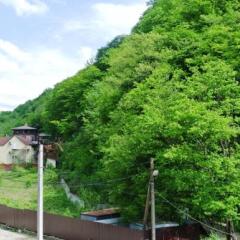 Гостиница Guest House Shokolad в Ольгинке отзывы, цены и фото номеров - забронировать гостиницу Guest House Shokolad онлайн Ольгинка фото 10