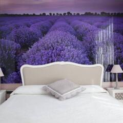 Отель Vilana Hotel Испания, Барселона - отзывы, цены и фото номеров - забронировать отель Vilana Hotel онлайн комната для гостей фото 5