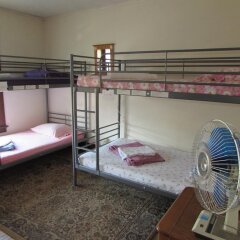 Отель Wanderfalls Guesthouse & Hostel США, Ниагара-Фолс - отзывы, цены и фото номеров - забронировать отель Wanderfalls Guesthouse & Hostel онлайн детские мероприятия фото 2