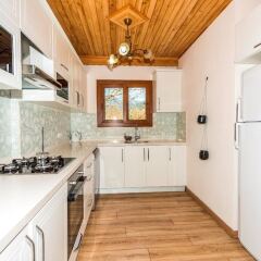 Villa Lemon Tree Турция, Кесилер - отзывы, цены и фото номеров - забронировать отель Villa Lemon Tree онлайн в номере фото 2