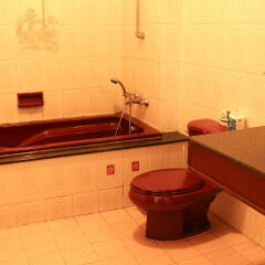 Апартаменты Giang Thanh Room Apartment Хошимин ванная