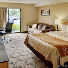 Отель Comfort Inn Ottawa West Kanata Канада, Оттава - отзывы, цены и фото номеров - забронировать отель Comfort Inn Ottawa West Kanata онлайн комната для гостей фото 3