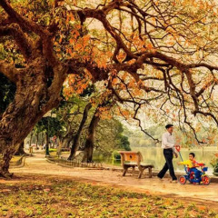 Отель Hanoi Morning Hotel Вьетнам, Ханой - отзывы, цены и фото номеров - забронировать отель Hanoi Morning Hotel онлайн приотельная территория фото 2