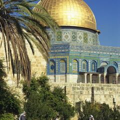 Ritz Hotel Jerusalem Израиль, Иерусалим - 1 отзыв об отеле, цены и фото номеров - забронировать отель Ritz Hotel Jerusalem онлайн фото 3