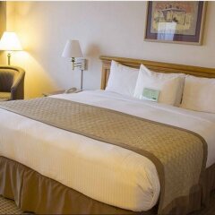 Hotel Lucerna Ciudad Juarez комната для гостей фото 2
