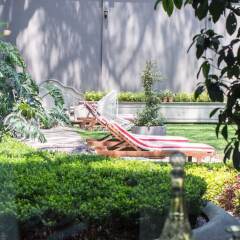 Отель Pug Seal B&B Coyoacan Мексика, Мехико - отзывы, цены и фото номеров - забронировать отель Pug Seal B&B Coyoacan онлайн фото 10