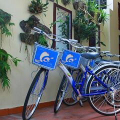 Отель Hoi An Leaf Homestay спа