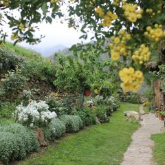Отель Casona De Treviño фото 7