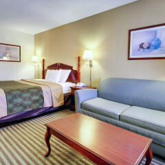 Отель Econo Lodge Vicksburg США, Виксбург - отзывы, цены и фото номеров - забронировать отель Econo Lodge Vicksburg онлайн комната для гостей фото 5