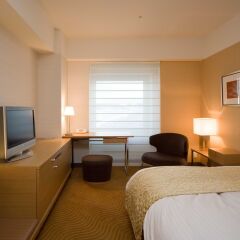 Hotel Nikko Kansai Airport комната для гостей фото 3