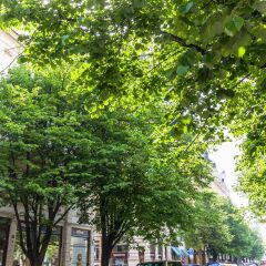 Отель Wishlist Old Prague Residences Чехия, Прага - отзывы, цены и фото номеров - забронировать отель Wishlist Old Prague Residences онлайн фото 5