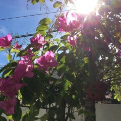 Отель Sunny Garden Homestay фото 7