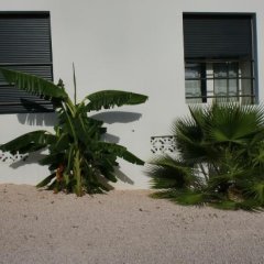 B&B Villa Vermaire in Willemstad, Curacao from 90$, photos, reviews - zenhotels.com photo 2