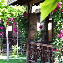 Отель Flora Garden Beach Club - Adults Only фото 11
