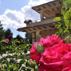 Отель Agriturismo Cupello Италия, Читтадукале - отзывы, цены и фото номеров - забронировать отель Agriturismo Cupello онлайн