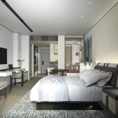Отель Kapok Shenzhen Luohu Китай, Шэньчжэнь - отзывы, цены и фото номеров - забронировать отель Kapok Shenzhen Luohu онлайн комната для гостей фото 4