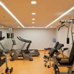 Holiday Inn Gebze - Istanbul Asia Турция, Гебзе - отзывы, цены и фото номеров - забронировать отель Holiday Inn Gebze - Istanbul Asia онлайн фитнесс-зал фото 4