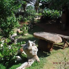 Отель Kudehya Guesthouse Ямайка, Треже-Бич - отзывы, цены и фото номеров - забронировать отель Kudehya Guesthouse онлайн фото 4
