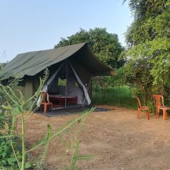 Отель Wild eco safari детские мероприятия фото 2