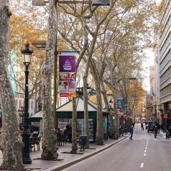 Отель Royal Ramblas Испания, Барселона - 2 отзыва об отеле, цены и фото номеров - забронировать отель Royal Ramblas онлайн фото 5
