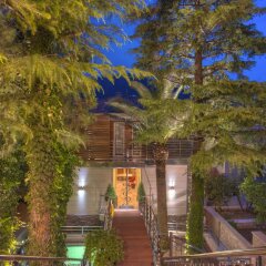 Hotel Forza Mare фото 10