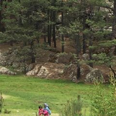 Отель Sierra Azul Мексика, Креэль - отзывы, цены и фото номеров - забронировать отель Sierra Azul онлайн приотельная территория