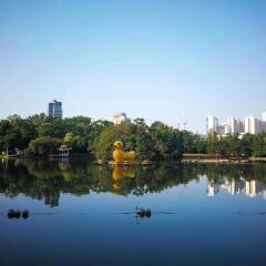 Отель Shenzhen Uniton Hotel Китай, Шэньчжэнь - отзывы, цены и фото номеров - забронировать отель Shenzhen Uniton Hotel онлайн приотельная территория фото 2