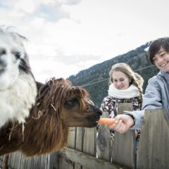 Отель Alphotel Tyrol Рачинес-Ратскингс с домашними животными