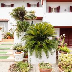 Отель Villa Eden B&B Бари фото 5