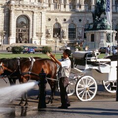 Отель Mercure Wien City Вена фото 3