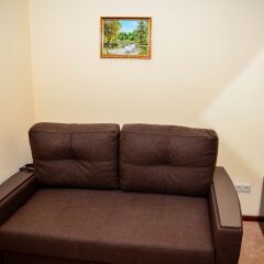 Hotel Alexandria-Sheremetyevo комната для гостей фото 4
