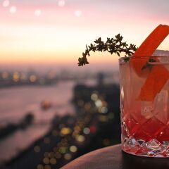 Отель Empire Riverside Hotel Германия, Гамбург - отзывы, цены и фото номеров - забронировать отель Empire Riverside Hotel онлайн с домашними животными