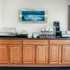 Отель Rodeway Inn & Suites Niagara Falls США, Ниагара-Фолс - отзывы, цены и фото номеров - забронировать отель Rodeway Inn & Suites Niagara Falls онлайн питание