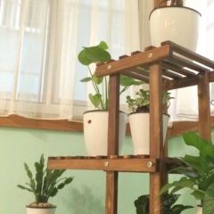 Green Space International Youth Hostel Шэньчжэнь удобства в номере