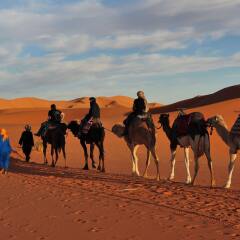 Отель Kasbah Leila Марокко, Мерзуга - отзывы, цены и фото номеров - забронировать отель Kasbah Leila онлайн пляж