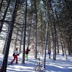 Отель Corralco Mountain & Ski Resort фото 4