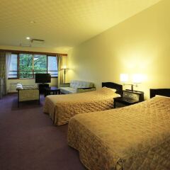 Nikko Astraea Hotel Никко комната для гостей фото 3