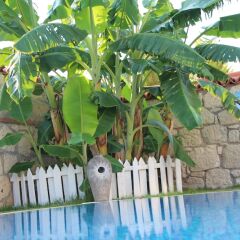 Windmill Alacati Boutique Hotel Турция, Чешме - отзывы, цены и фото номеров - забронировать отель Windmill Alacati Boutique Hotel онлайн фото 13