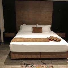 Hotel Dali Plaza Ejecutivo с домашними животными