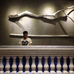 Timmy Hotel развлечения