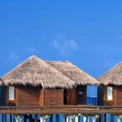Отель Sheraton Maldives Full Moon Resort & Spa Мальдивы, Северный атолл Мале - отзывы, цены и фото номеров - забронировать отель Sheraton Maldives Full Moon Resort & Spa онлайн фото 7