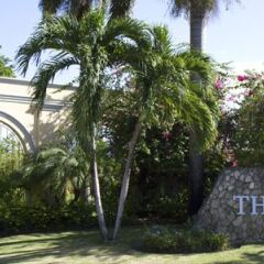 Отель Jewel Dunn’s River Adult Beach Resort & Spa, All-Inclusive Ямайка, Очо-Риос - отзывы, цены и фото номеров - забронировать отель Jewel Dunn’s River Adult Beach Resort & Spa, All-Inclusive онлайн фото 8