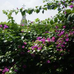 Отель B&B Pompei Welcome Италия, Помпеи - отзывы, цены и фото номеров - забронировать отель B&B Pompei Welcome онлайн фото 2
