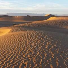 Отель Bivouac Karim Sahara Марокко, Загора - отзывы, цены и фото номеров - забронировать отель Bivouac Karim Sahara онлайн пляж