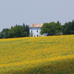 Отель Casa Azzurra Монтекассино спортивное сооружение