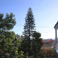 Отель Co Lien Homestay Dalat Далат балкон