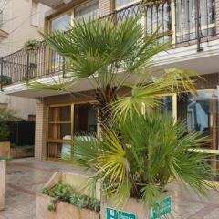 Hotel Ardea