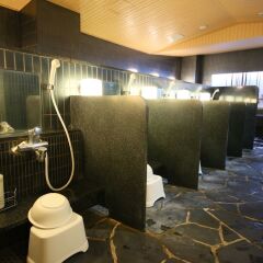 APA Hotel Keisei Narita-Ekimae спа фото 2