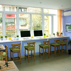 Yozh Hostel Сочи гостиничный бар