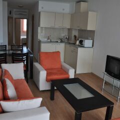 Отель Sunny Holiday Болгария, Солнечный берег - 1 отзыв об отеле, цены и фото номеров - забронировать отель Sunny Holiday онлайн комната для гостей фото 2